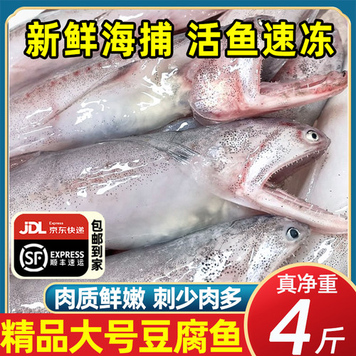 精品大号豆腐鱼净重无冰衣