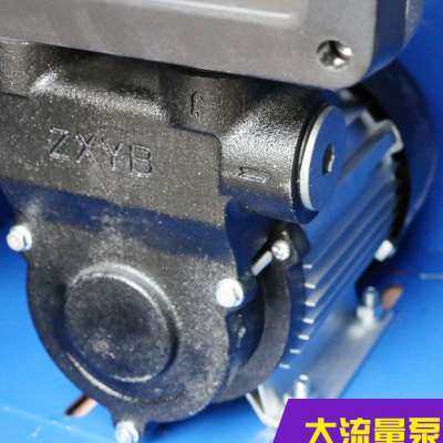 极速。车载12/24/220V加油机全自动柴油L小型加油泵抽油泵油桶自