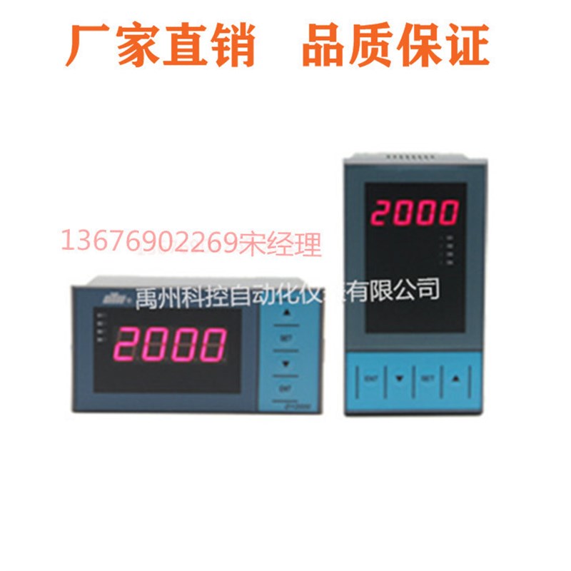 极速大延牌DY21Z0/DY21ZL0/DY22Z/DY29Z数显表T温控仪液位压力显