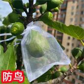 袋子 无花果套果 无花果P防虫袋果袋防鸟果 无花果套袋防鸟 新品