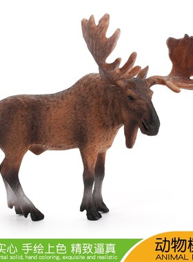 极速儿童益智仿真野生动物公驼鹿模型实心微观桌面TPVC雄鹿摆件
