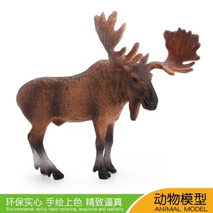 极速儿童益智仿真野生动物公驼鹿模型实心微观桌面TPVC雄鹿摆件