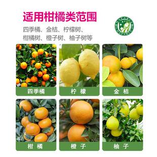 新品橘子a树专用肥料金桔子树柑橘复合肥柠檬果树高钾肥控释缓释