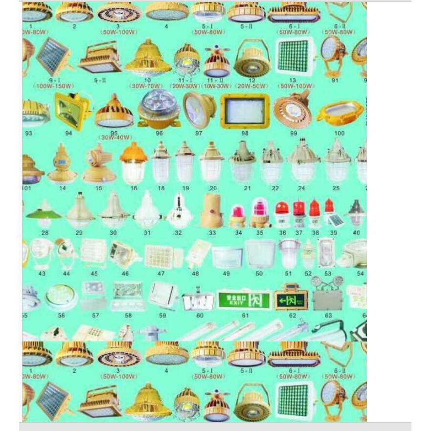 LED防爆灯50w/60w/70w/100w150w/200w/250w加油站应急 防爆投光灯