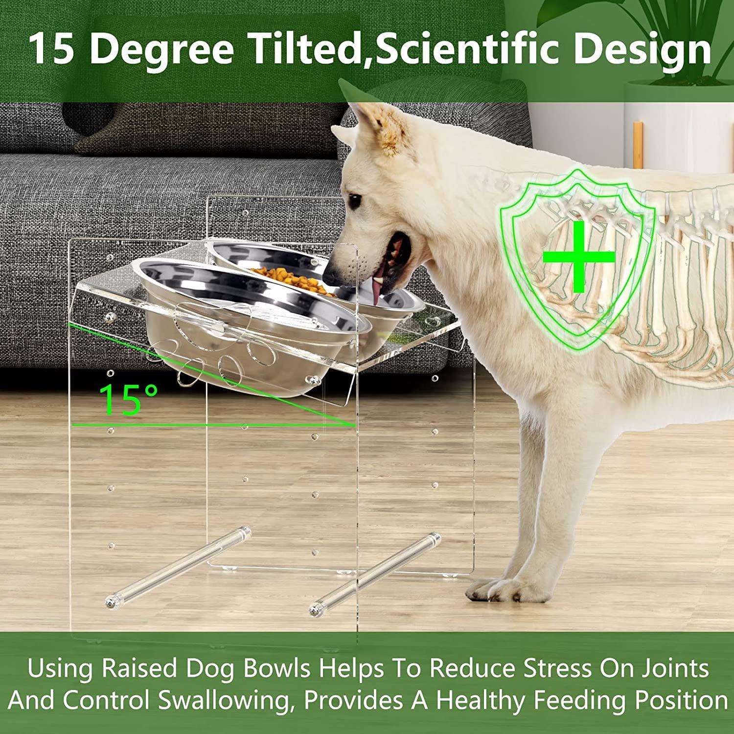 抬高的狗碗6个高度可调节的狗碗支架丙烯酸凸起倾斜的宠物喂食器