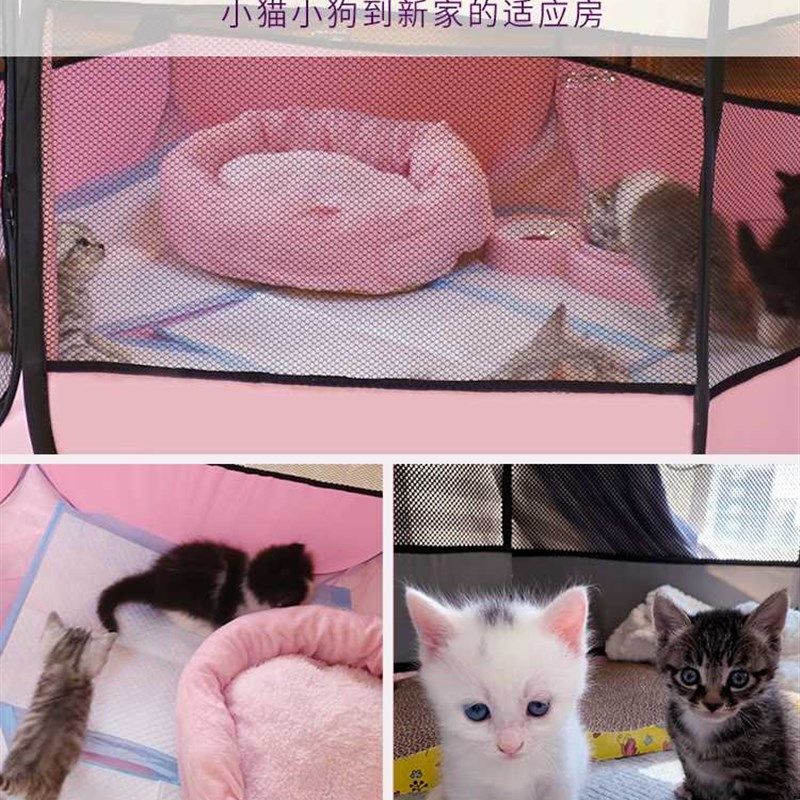 极速猫产房猫窝宠物猫咪怀孕w待产封闭式帐篷狗狗繁殖产箱生产用,宠物/宠物食品及用品,猫窝/屋/帐篷/沙发,淘宝优惠券,粉丝福利购,淘宝优惠卷
