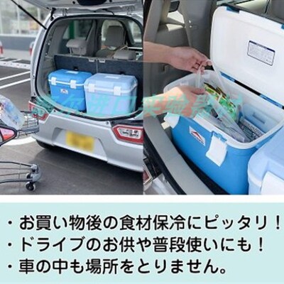 新品低温保存箱g COOLER BOX隔热材料为一体型 隔热效果良好JEJ A