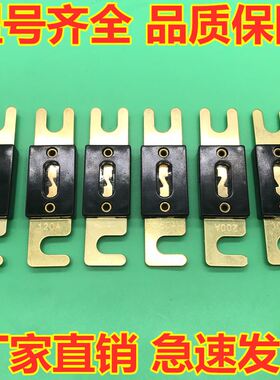 极速。通用电动汽车燃油车御捷马保险丝100A 150A 200A3V00A 400A