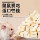 侏儒饲料营 吃 新品 仓鼠冻干豆腐小n零食金丝熊主粮食专用品夏季