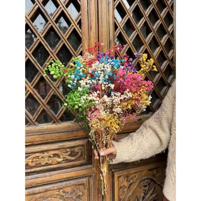 天然真花Gypsophila干花束家庭装饰小清新摆件现场装饰插花照片插