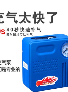 瓶车电动摩托车便携式车载打气筒汽车48V60V72V96V通用充气泵48-7