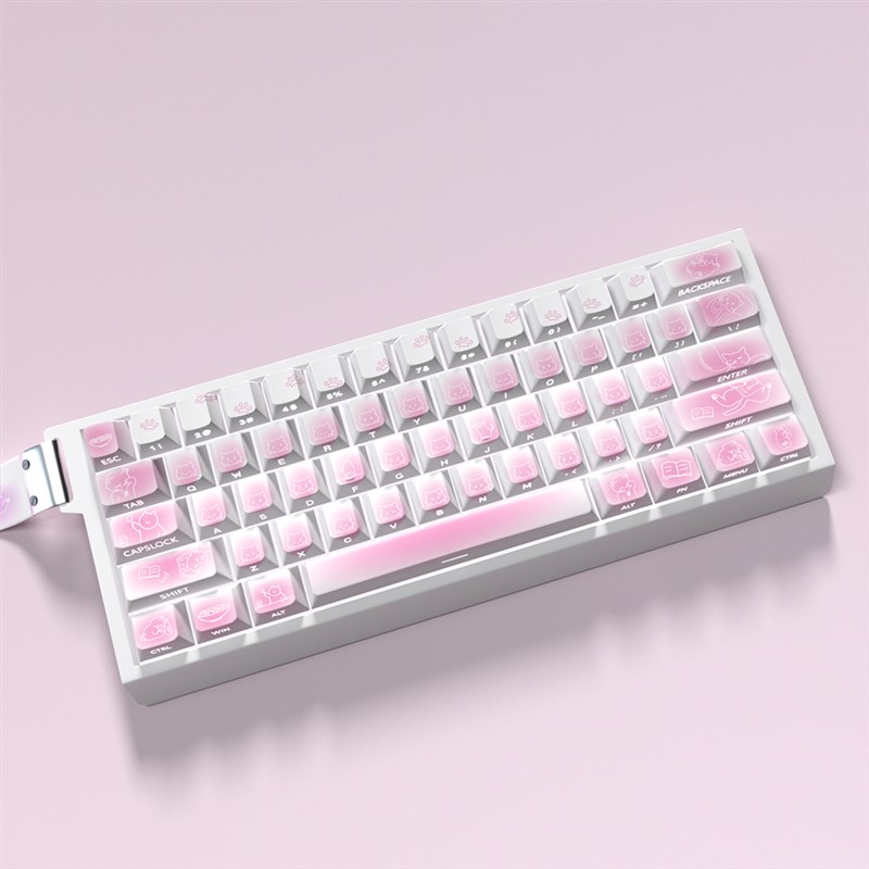 猫咪主题a键帽适配60/63/64/68磁轴键盘热升华原厂高度侧刻透光