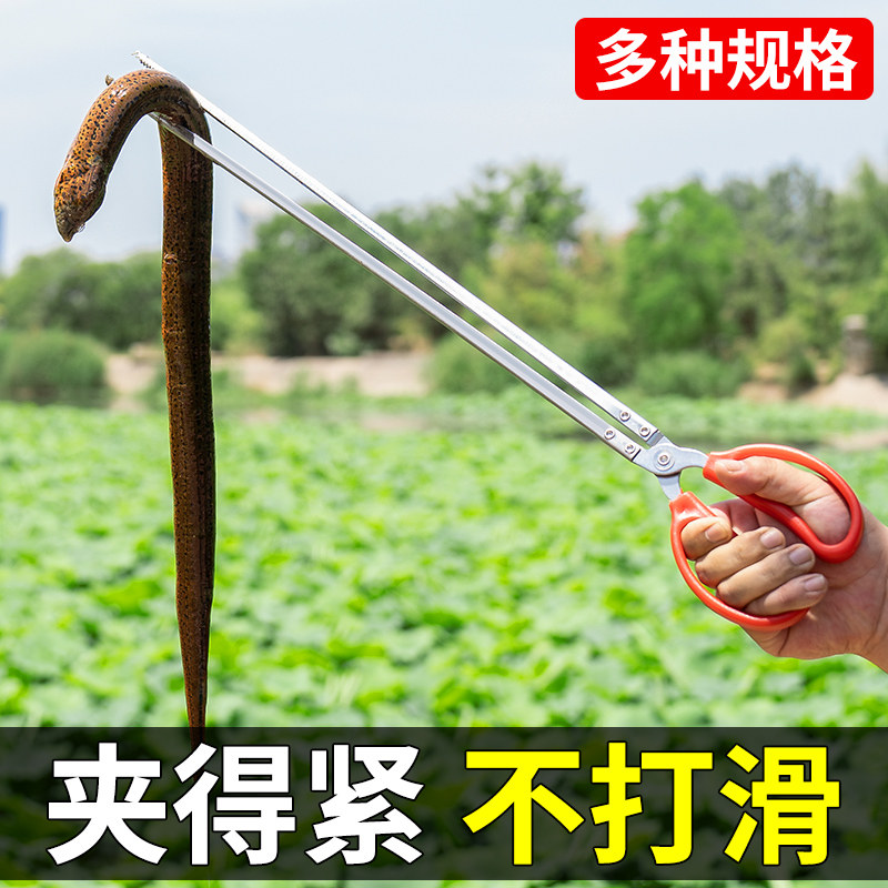 速发钳鳝夹子泥鳅黄子不锈螃鳝鱼夹神器抓龙虾钢蟹赶海工具防滑