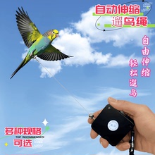 鹦鹉放飞绳虎皮牡丹玄凤自动伸缩遛鸟绳外出飞行小鸟不伤脚牵引绳