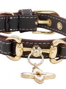 极速大象灰荔枝纹深灰色对扣款z阿奇尔宠物项圈泰迪雪纳瑞不含牵