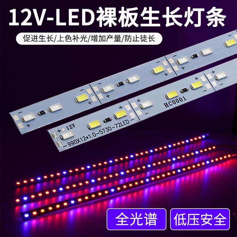 12V植物生长裸板硬灯条led全光谱多肉上色补光防徒长室内安全育苗