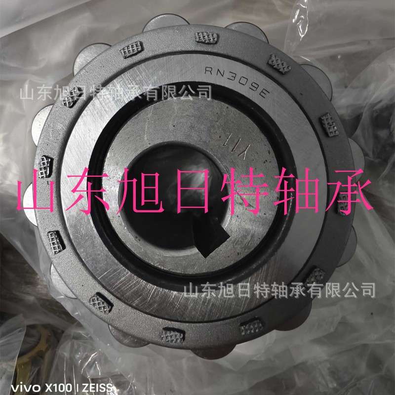 RN309E-11Y XRT减速机轴承 XRT减速机整体偏心轴承