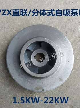 BZ/ZX直联式自吸泵卧式管道泵离心泵铸铁叶轮水泵配件1.5KW-22KW