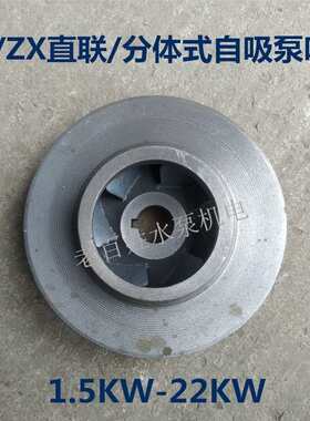 BZ/ZX直联式自吸泵卧式管道泵离心泵铸铁叶轮水泵配件1.5KW-22KW