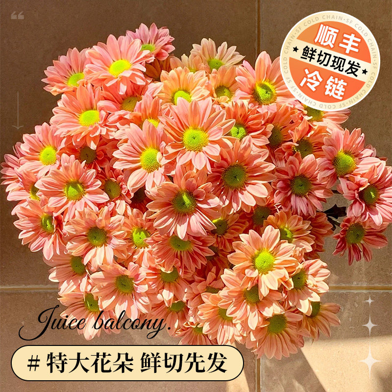 速发小长菊花束三文鱼次日水云南基地直发花期雏花卉插瓶达培
