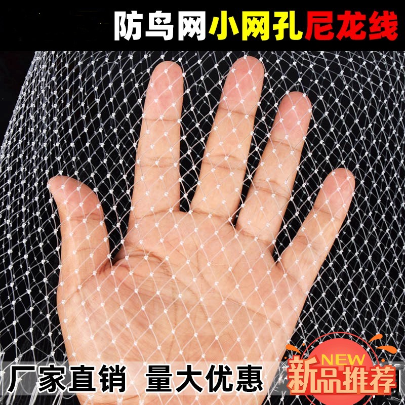速发大棚草莓尼龙果果树防鸟用网树尼龙线丝网樱桃台罩网园纱网网