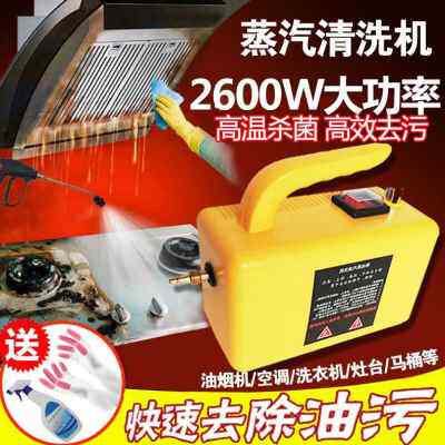 极速新品a设备一体高温高压蒸汽清洁机洗车机家电清洗机空调工具