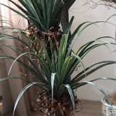 新品 饰盆景大型仿生假树植物盆栽室内酒店橱窗 龙血树e仿真绿植装