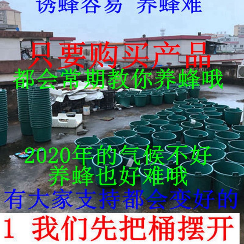 诱蜂桶塑料桶招蜂水桶养蜂桶引蜂箱中蜂蜡养蜂诱蜂蜡土蜂老蜂巢蜡