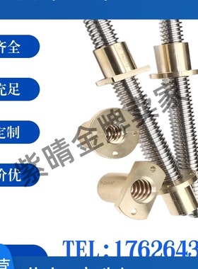 梯形丝杠螺母 MTSBHR C-MTSFR MTSJR MTSCR MTSER14 16 20 22 25