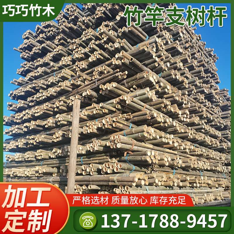 北京树木支撑杆 现货竹竿支树杆 竹竿尖毛竹竿 大竹竿