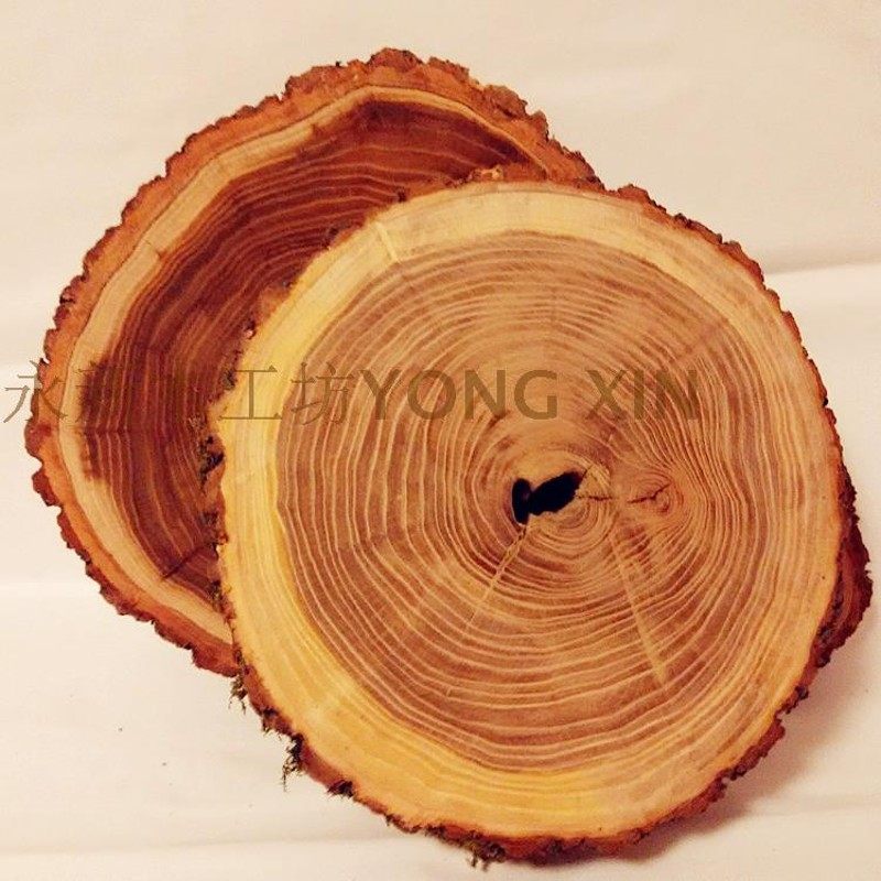 极速榆木年轮片 榆木木桩带皮圆木片 艺术设计M模型摆设木块 2CM,模玩/动漫/周边/娃圈三坑/桌游,模型制作工具/辅料耗材,淘宝优惠券,粉丝福利购,淘宝优惠卷