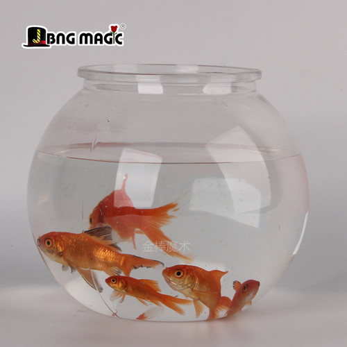 极速空缸出鱼 舞台 才艺 晚会 鱼B缸变金鱼 魔术道具 新手 六一儿