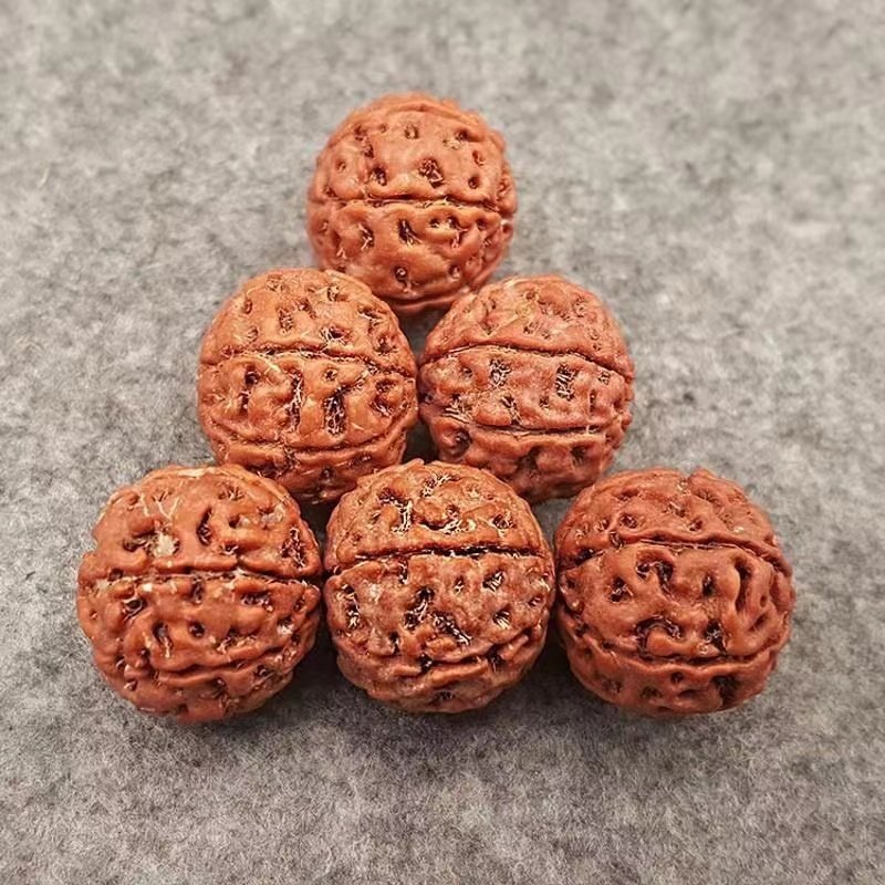 极速尼泊尔满g肉大金刚菩提子手串红皮矮桩佛珠男士原籽六七八九7,饰品/流行首饰/时尚饰品新,菩提,淘宝优惠券,粉丝福利购,淘宝优惠卷