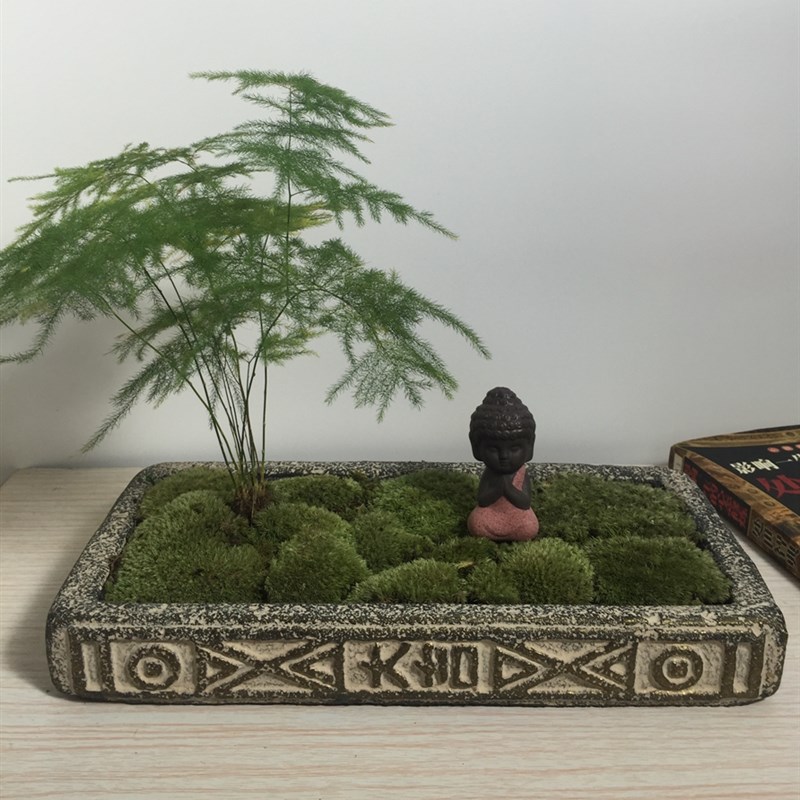 极速金钱菖蒲粗陶花盆水泥多肉苔藓盆景陶L瓷古典中国风禅意大吉