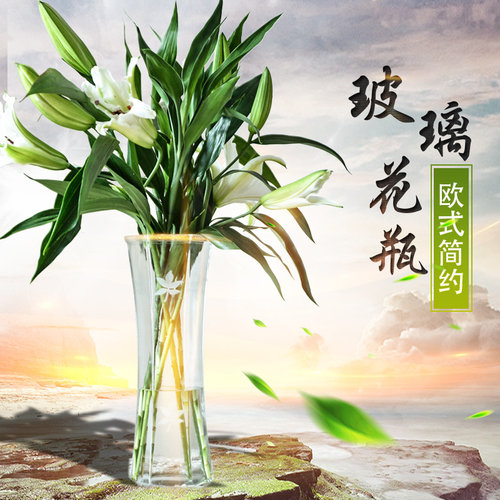 极速满玻璃透明花瓶时尚简约现代家用品富贵竹X水培花瓶六角