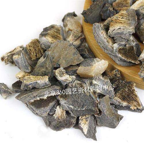 极速马掌花卉植物花盆底介质肥料马蹄片肥盆地垫T底防止土壤结块