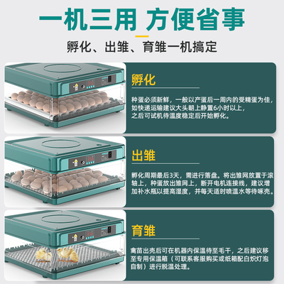 速发孵化器小型家用芦丁鸡鸭迷你全自动智能孵化箱丰年虾孵蛋器孵