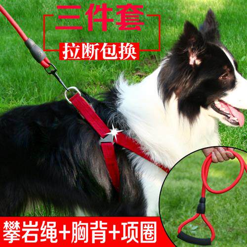 极速宠物狗狗牵引绳大型犬中型犬小型犬泰迪博美T金毛哈士奇遛狗