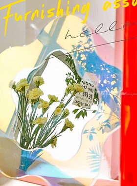 新品幻彩花c朵镜子 ins风网红家居房间装饰画拍照道具摆件打卡点