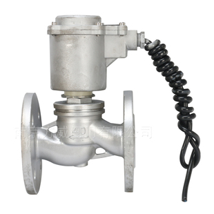 防爆电磁阀DLN15 不锈钢防爆蒸汽电磁阀 极速ZBSF 16P