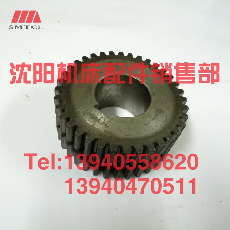 极速沈阳机床管螺纹车床S1-262A S1-24F5B 齿轮2060L Z36双排双联