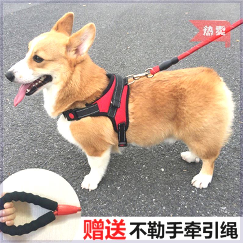 速发狗项圈大型犬防爆冲加粗狗狗牵引绳背心式遛狗绳子泰迪法斗柯