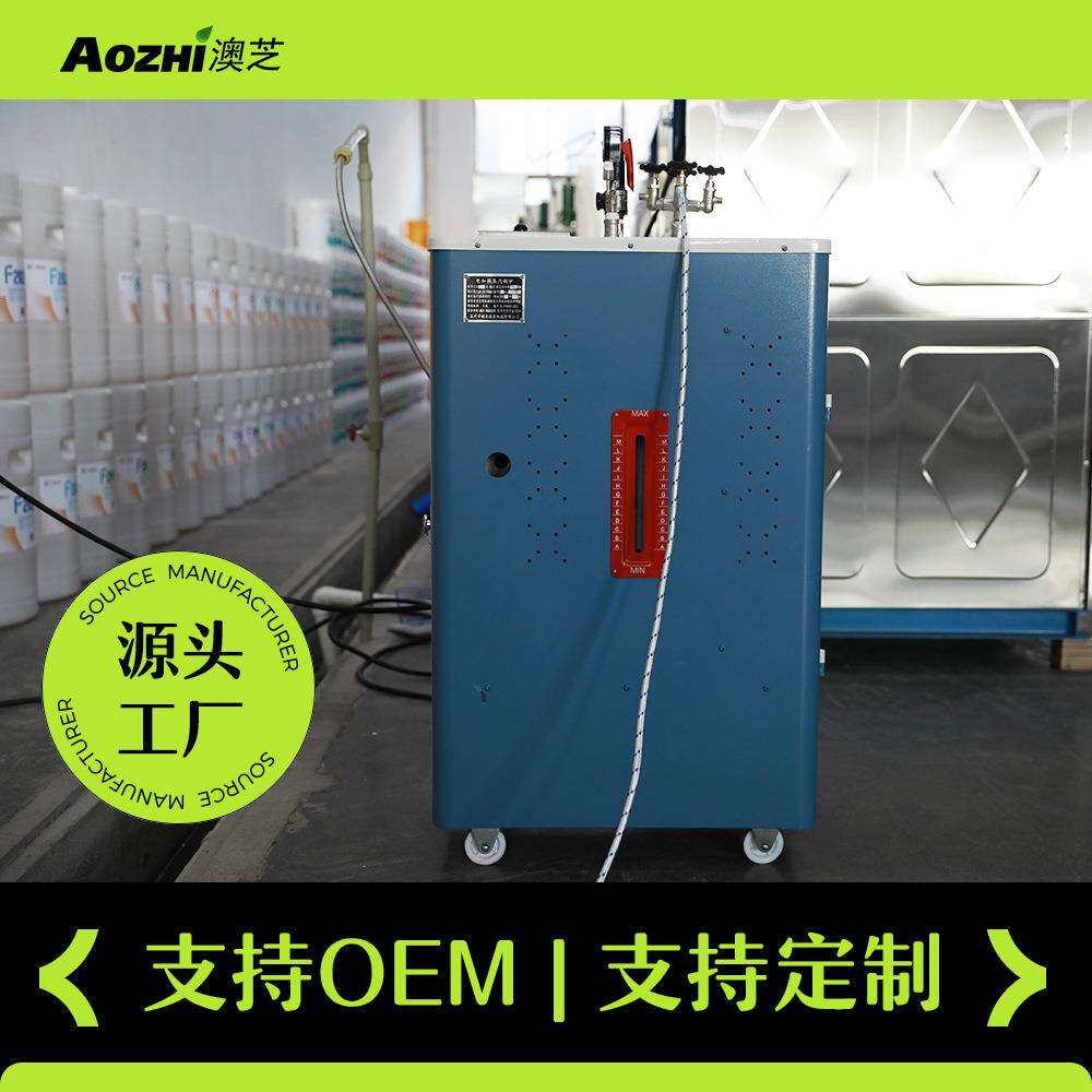 小型工业电锅炉全自动电加热蒸汽发生器服装熨烫干洗店用蒸汽锅炉