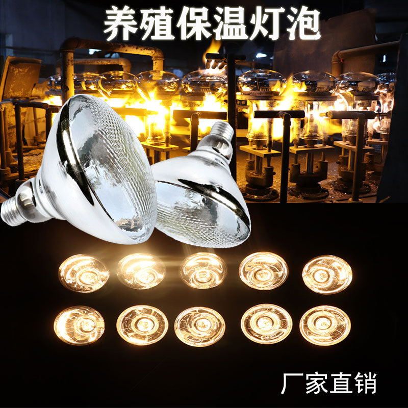 养殖加厚防水红外保温取暖灯