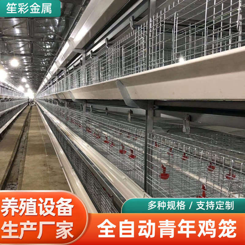 青年鸡笼多层叠H型自动清粪上料