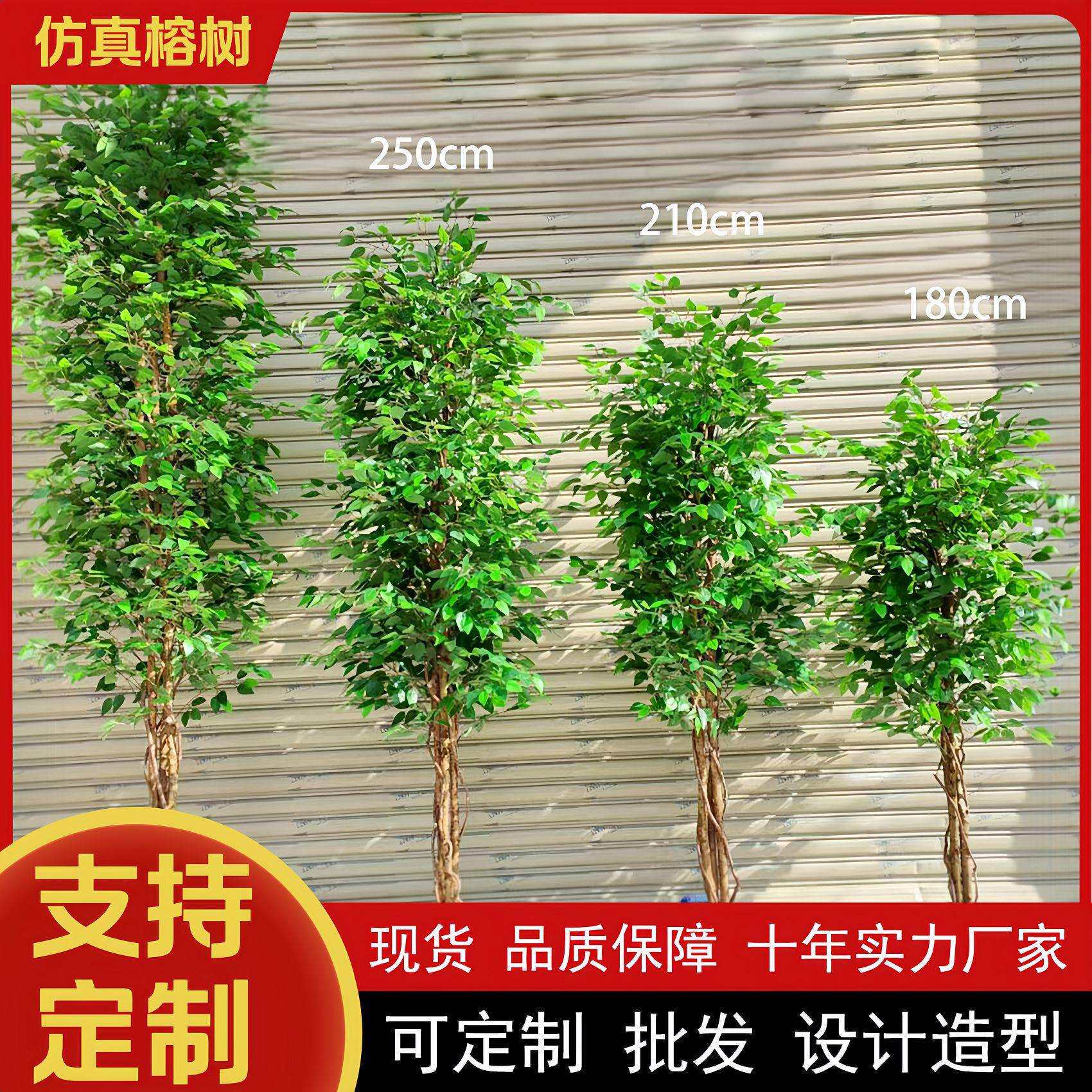 仿真榕树真木杆迷你榕树盆栽小叶榕仿真绿植仿真树室内装饰假绿植