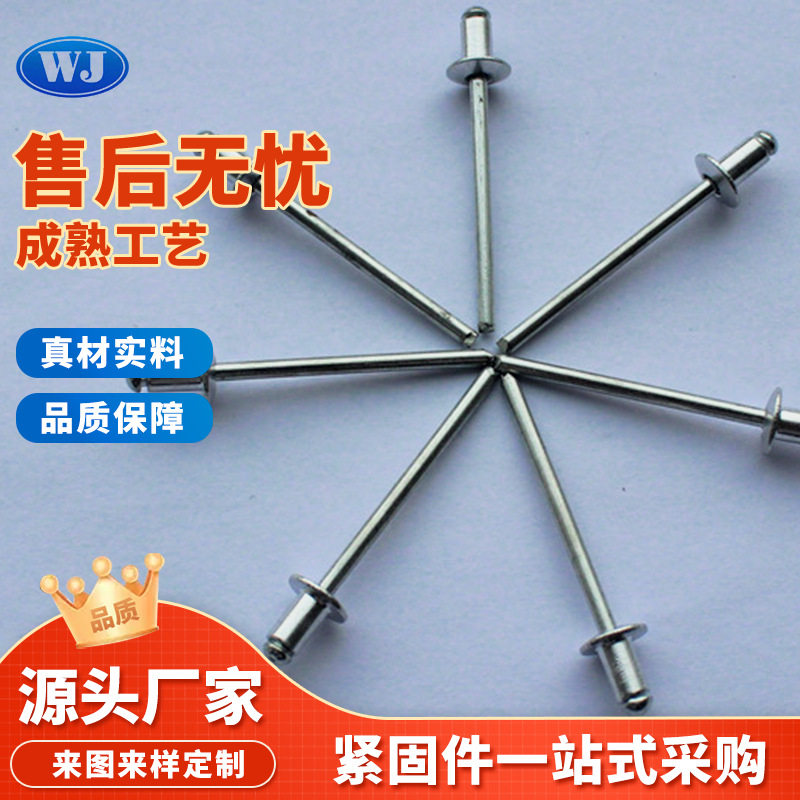 大帽沿不锈钢抽芯铆钉封闭型沉头抽芯铆钉非标拉铆钉螺丝