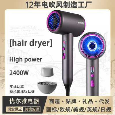 hairdryer高速电吹风机家用110v欧规美规英规日规风筒handdryer
