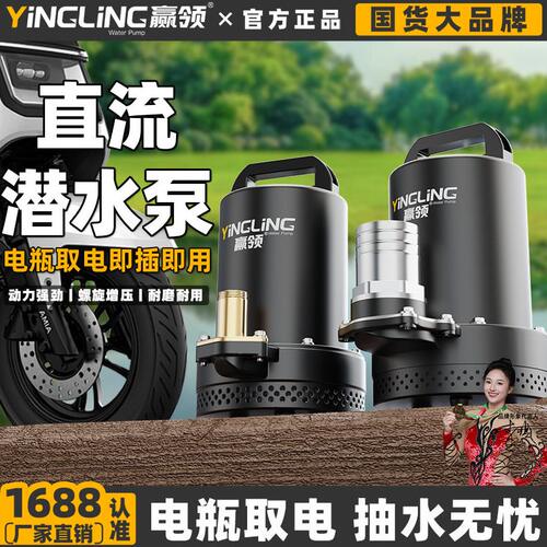 赢领直流潜水泵48v60v72v电动车电车专用抽水泵12v24v农用浇菜