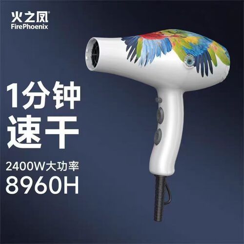 热销火之凤8960H吹风机专用发廊大功率吹风K筒理发店家用静音2400